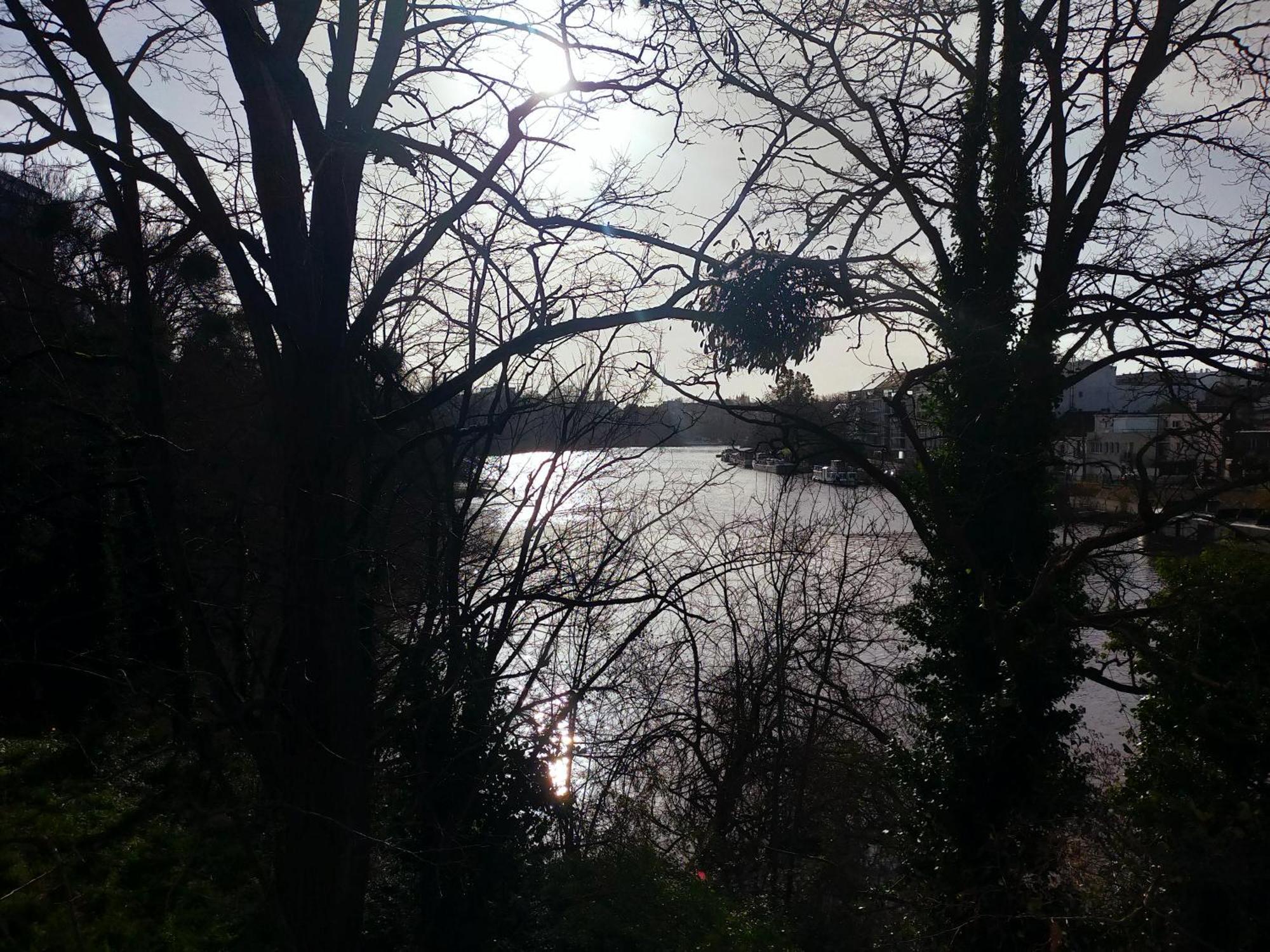 L'Arbre Aux Herons - Panoramique Nantes Wifi Bagian luar foto